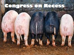 Image result for pork barrel philippines rally